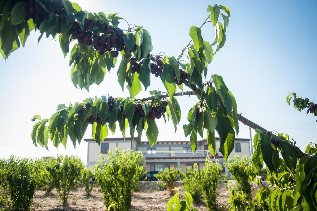 Agriturismo La Ferrovia Molfetta Bagian luar foto
